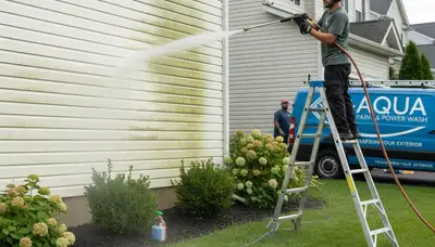 Vinyl siding pressure cleaning in Vancouver, WA removes moss, algae, and grime from a home exterior